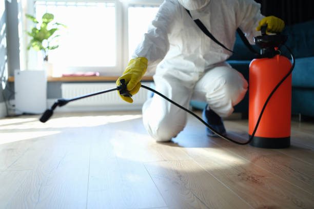 Reliable Infectious Disease Decontamination contractor in Duncans Mills, CA by Trauma Clean Pros